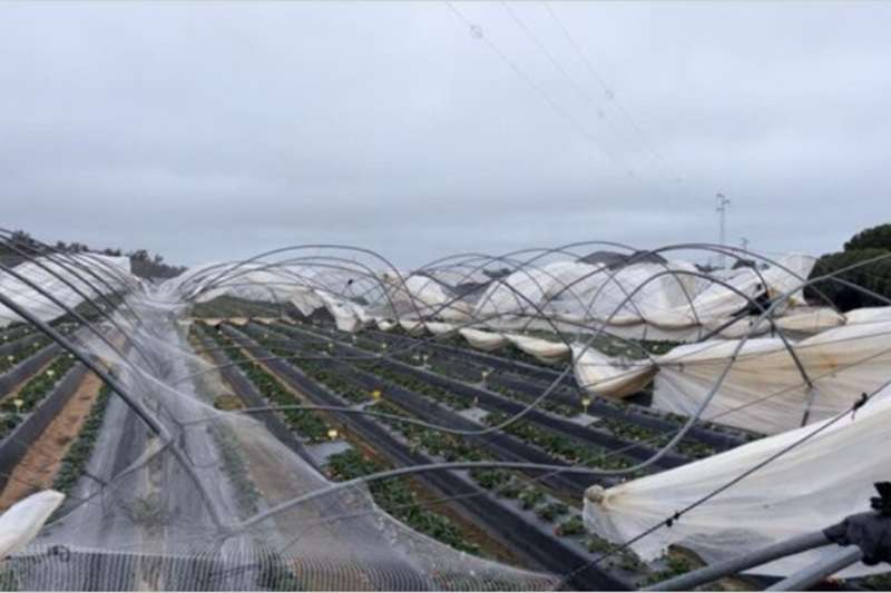 Agroseguro borrasca invierno